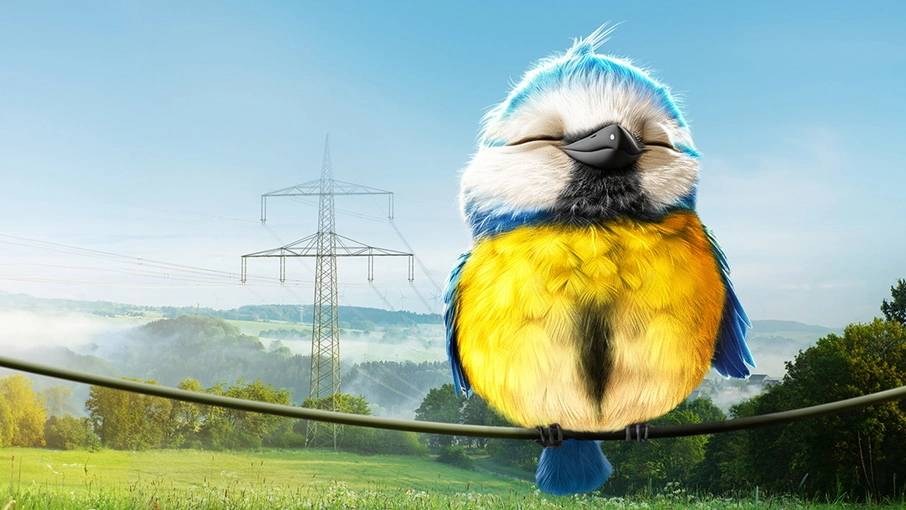 Ein entspannter Vogel sitzt auf einem Stromkabel.