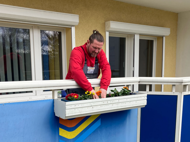 jenawohnen Hausmeister Michael Mönning pflanzt die ersten Frühblüher im Quartier.